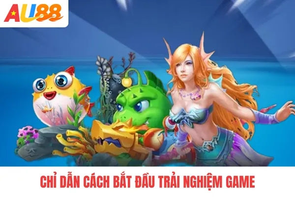 Chỉ dẫn cách bắt đầu trải nghiệm game