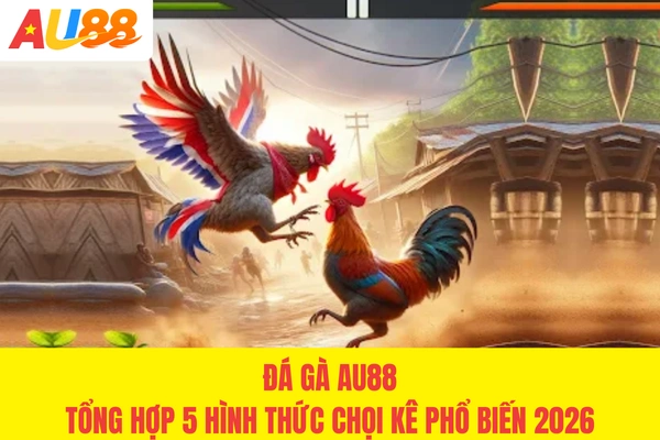 Đá Gà AU88 - Tổng Hợp 5 Hình Thức Chọi Kê Phổ Biến 2026