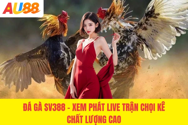 Đá Gà SV388 - Xem Phát Live Trận Chọi Kê Chất Lượng Cao