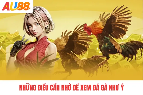Những điều cần nhớ để xem đá gà như ý